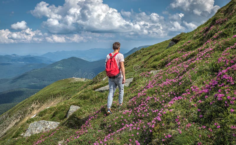 De mens van de toeristenreiziger maakt de de reiszomer van het bergstijgen met rugzak Rue van de vakantiesaard openlucht royalty-vrije stock fotografie De mens van de toeristenreiziger maakt de de reiszomer van het bergstijgen met rugzak Rue van de vakantiesaard openlucht royalty-vrije stock fotografie