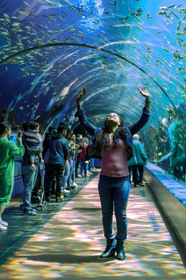 De mensen bevinden zich in ontzag in een tunnel van plexiglas die Overzeese schepselen tonen bij het aquarium de V.S. van Georgië stock fotografie De mensen bevinden zich in ontzag in een tunnel van plexiglas die Overzeese schepselen tonen bij het aquarium de V.S. van Georgië stock fotografie