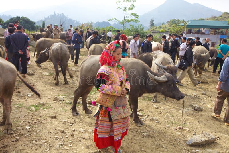 De Mensen Vietnam van de Minderheid van Hmong van de bloem stock foto De Mensen Vietnam van de Minderheid van Hmong van de bloem stock foto