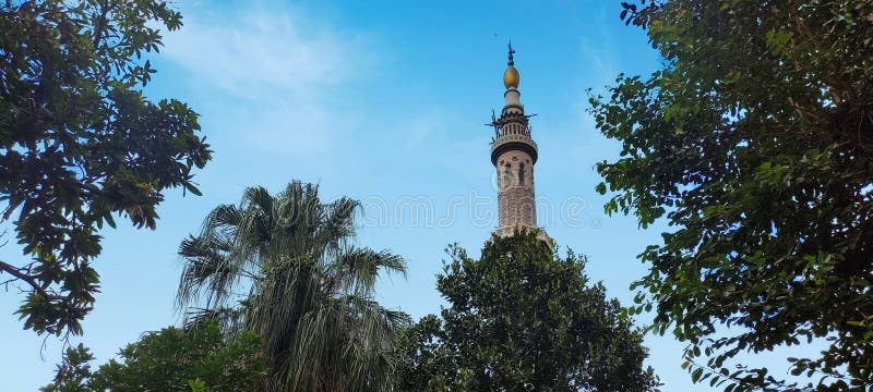 the minaret of a mosque can be seen from afar covered with leaves and trees against a beautiful sky. the minaret of a mosque can be seen from afar covered with leaves and trees against a beautiful sky