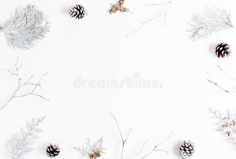 De minimalistische Kerstmissamenstelling in heldere die kleuren van pijnboom worden gemaakt vertakt zich op witte achtergrond Ker stock foto De minimalistische Kerstmissamenstelling in heldere die kleuren van pijnboom worden gemaakt vertakt zich op witte achtergrond Ker stock foto
