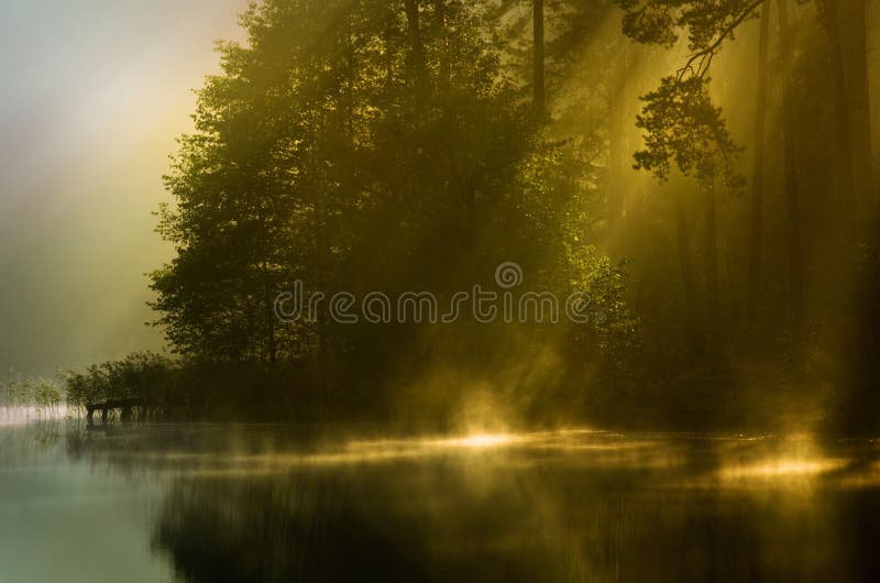 De mist van de herfst van vroege ochtend stock afbeelding De mist van de herfst van vroege ochtend stock afbeelding