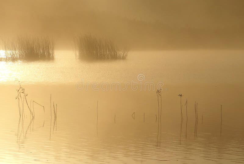 De mistige Ochtend van de Herfst Het landschap van Litouwen stock foto's De mistige Ochtend van de Herfst Het landschap van Litouwen stock foto's