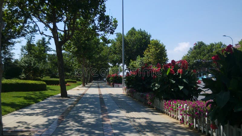 Renmin Road, mooie voetpaden royalty-vrije stock foto's