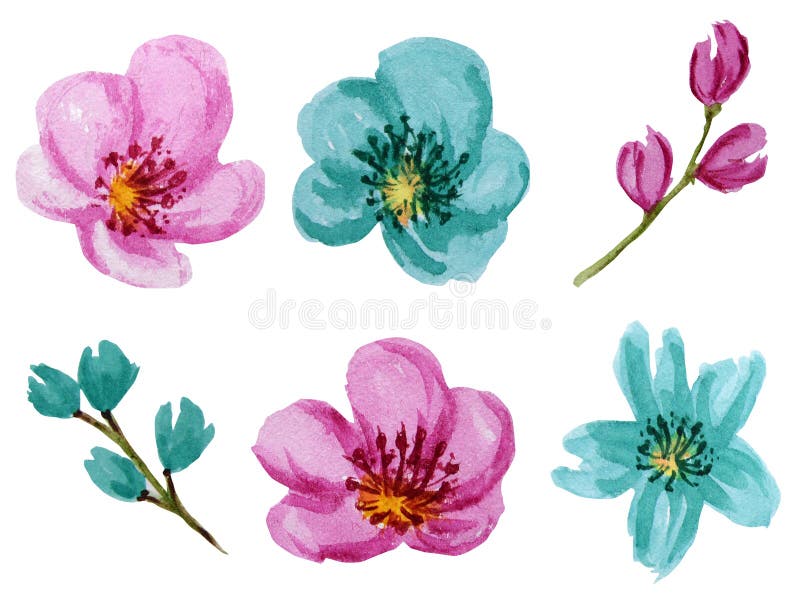 De mooie heldere geplaatste bloemen van de kleurenwaterverf Roze en turkooise bloem die op witte achtergrond wordt geïsoleerd royalty-vrije stock fotografie De mooie heldere geplaatste bloemen van de kleurenwaterverf Roze en turkooise bloem die op witte achtergrond wordt geïsoleerd royalty-vrije stock fotografie