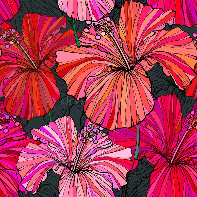 De mooie naadloze bloemenachtergrond van het wildernispatroon De tropische achtergrond van de bloemen heldere kleur De hibiscus b