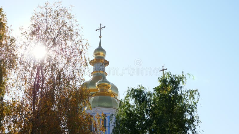 De mooie Orthodoxe bomen van Christian Church en van de herfst Kyiv