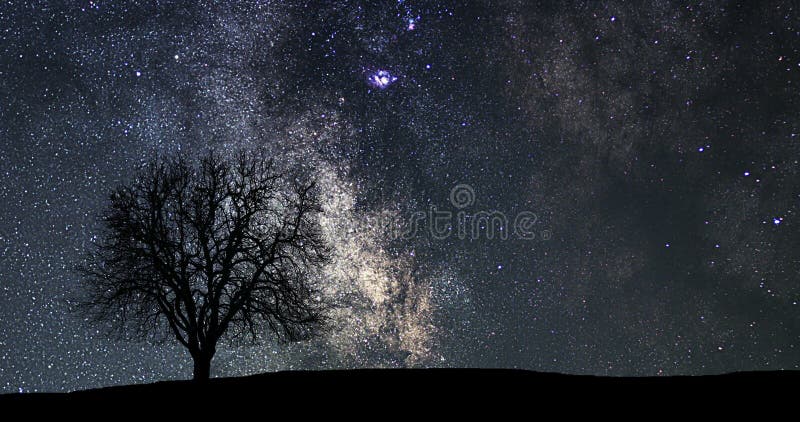 De mooie tijdspanne van de astronomietijd De Tijdspanne van de melkwegtijd Eenzame boom