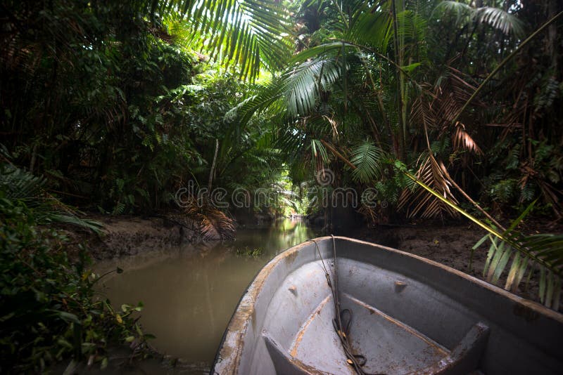 De motorboot in wildernissen van Papoea-Nieuw-Guinea stock foto's De motorboot in wildernissen van Papoea-Nieuw-Guinea stock foto's