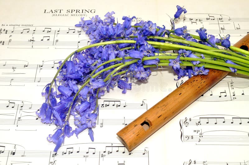 De Muziek en het Klokjebloemen van het de lenteblad royalty-vrije stock afbeelding De Muziek en het Klokjebloemen van het de lenteblad royalty-vrije stock afbeelding
