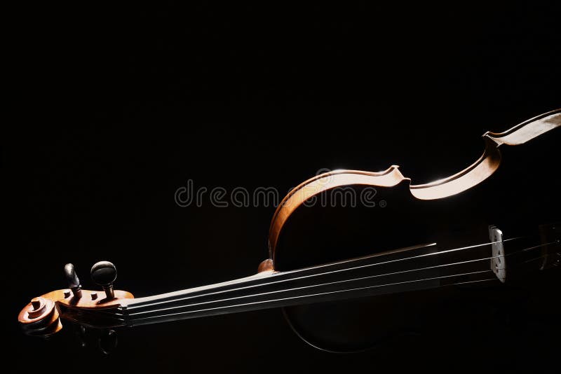 De muziekinstrument van het vioolorkest
