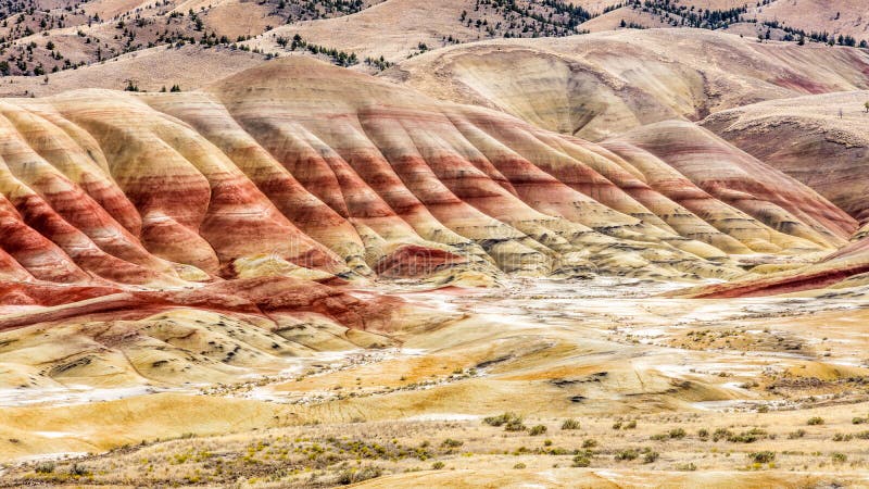 De målade kullarna av John Day Fossil Beds