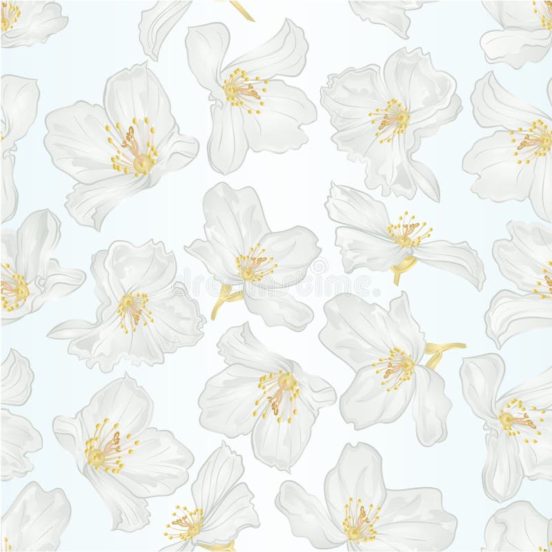 De naadloze bloemen van de textuurjasmijn met editable takjes uitstekende vector botanische illustratie stock illustratie De naadloze bloemen van de textuurjasmijn met editable takjes uitstekende vector botanische illustratie stock illustratie