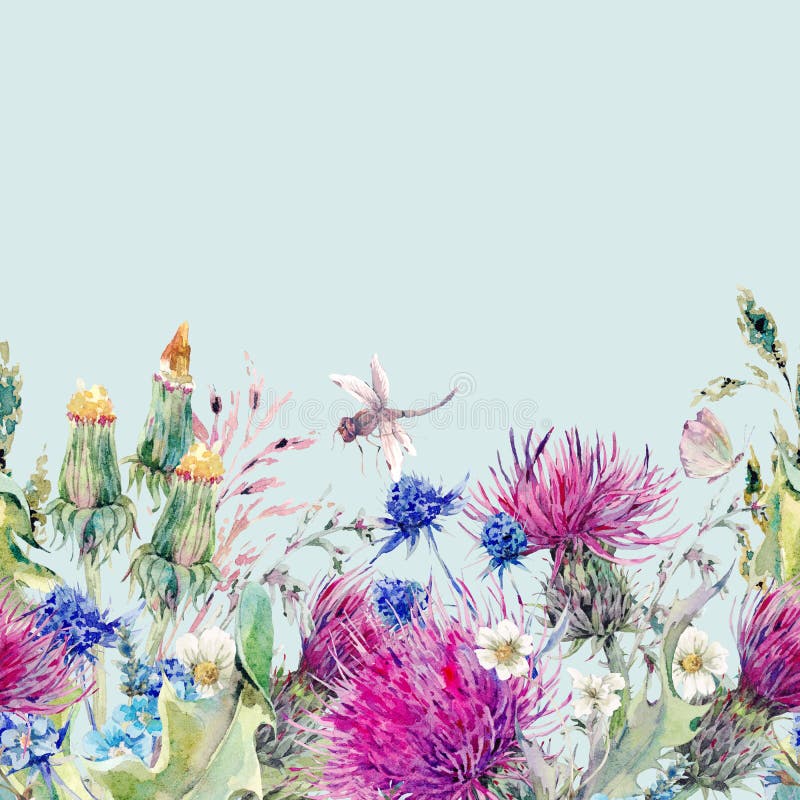 De naadloze bloemengrens van de de zomerwaterverf met wilde bloemen vector illustratie De naadloze bloemengrens van de de zomerwaterverf met wilde bloemen vector illustratie