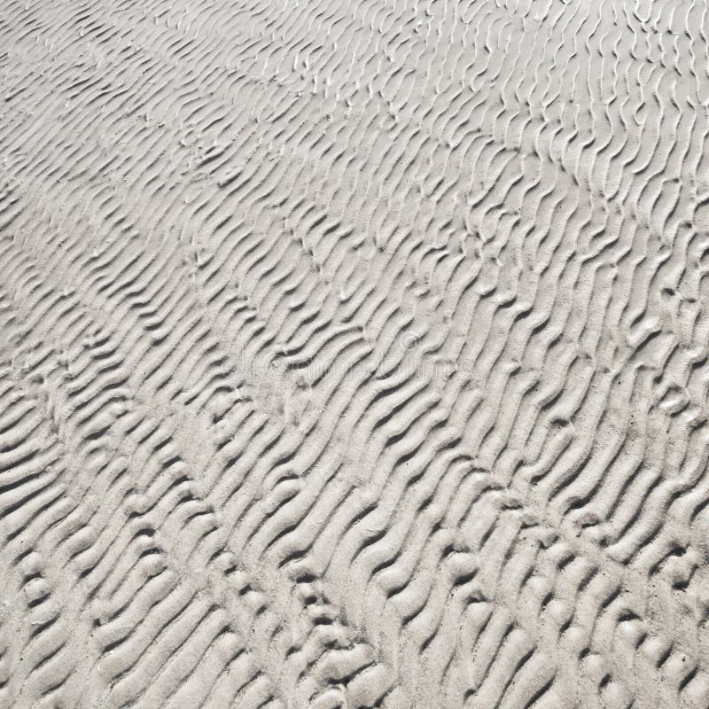 Wet rippled sand pattern texture on a ocean beach. Wet rippled sand pattern texture on a ocean beach