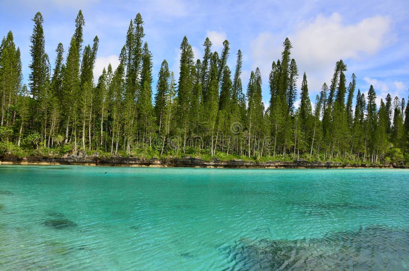De natuurlijke pool van Baie Oro van het pijnboomeiland van de lagune royalty-vrije stock fotografie De natuurlijke pool van Baie Oro van het pijnboomeiland van de lagune royalty-vrije stock fotografie