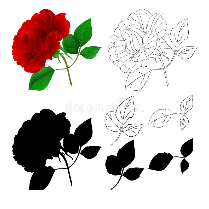 De natuurlijke stam en de bladeren van Rose Purple en silhouet en overzicht op een witte achtergrond uitstekende vectorillustrati stock illustratie De natuurlijke stam en de bladeren van Rose Purple en silhouet en overzicht op een witte achtergrond uitstekende vectorillustrati stock illustratie
