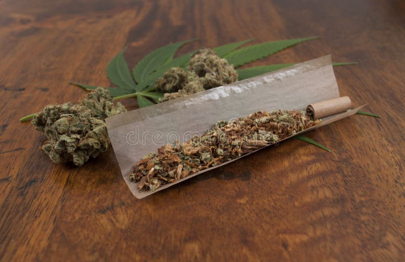 De Nederlandse sativa Cannabis grinded met tabak in document, klaar om een onkruidverbinding te rollen stock afbeelding De Nederlandse sativa Cannabis grinded met tabak in document, klaar om een onkruidverbinding te rollen stock afbeelding