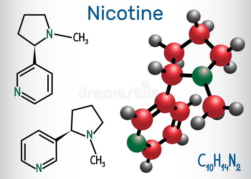 De nicotinemolecule, is alkaloïde, in de nightshadefamilie die wordt gevonden royalty-vrije illustratie De nicotinemolecule, is alkaloïde, in de nightshadefamilie die wordt gevonden royalty-vrije illustratie