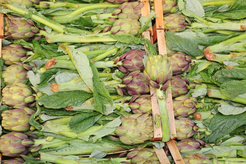 De nombreuses caisses au stand des marchands de légumes remplis d'artichauts verts mûrs photo libre de droits