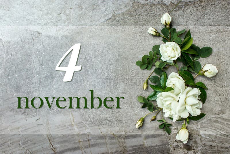 November 4th. Day 4 of month, Calendar date. Stylish roses flat lay. White roses border on pastel grey background with calendar date. Autumn month, day of the year concept. November 4th. Day 4 of month, Calendar date. Stylish roses flat lay. White roses border on pastel grey background with calendar date. Autumn month, day of the year concept