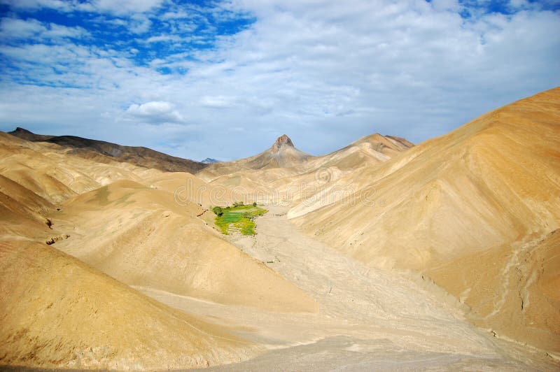 Bergwoestijn-oase stock afbeeldingen