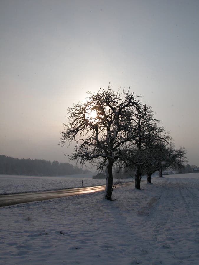 Download De ochtend van de winter stock foto. Afbeelding bestaande uit koude - 29156