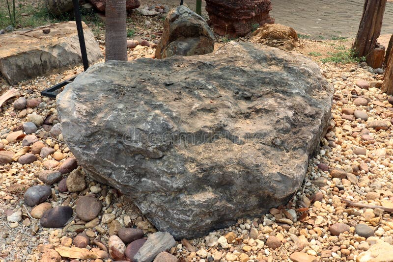 De Oncolitessteen, oncolites is sedimentaire die structuren uit oncoids worden samengesteld, die gelaagde die structuren door cya stock foto De Oncolitessteen, oncolites is sedimentaire die structuren uit oncoids worden samengesteld, die gelaagde die structuren door cya stock foto