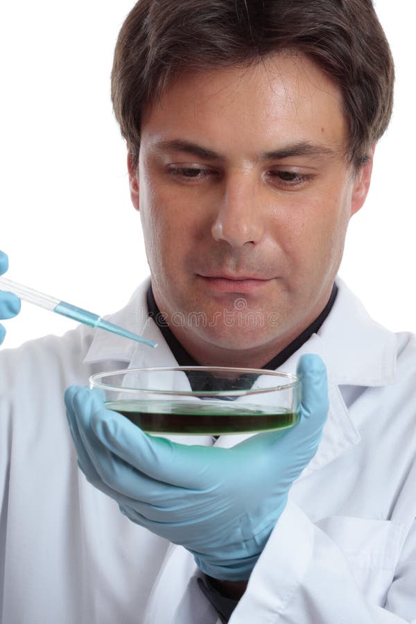 De onderzoeker die van de wetenschapper analyserend het laboratoriumwerk test stock afbeelding De onderzoeker die van de wetenschapper analyserend het laboratoriumwerk test stock afbeelding