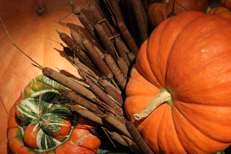 Pumpkins, Halloween and Thanksgiving decor. Pumpkins, Halloween and Thanksgiving decor