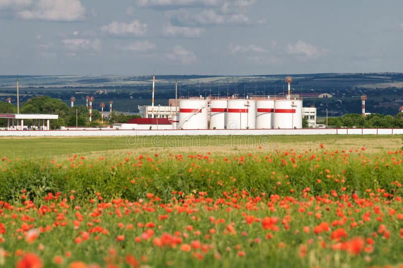 Olieopslag bij een klaproosveld stock foto's