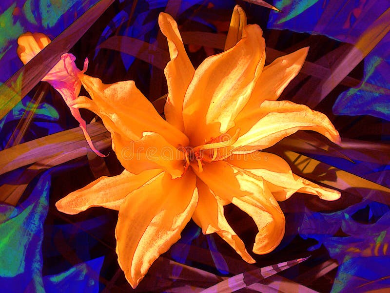 De oranje Bloesems van de Bloemblaadjes van de Bloem stock illustratie De oranje Bloesems van de Bloemblaadjes van de Bloem stock illustratie