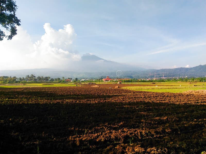 De padievelden zetten dichtbij Ciremai, West-Java, Indonesië op royalty-vrije stock foto's De padievelden zetten dichtbij Ciremai, West-Java, Indonesië op royalty-vrije stock foto's