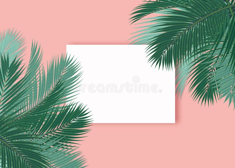 De palmen doorbladert leeg kaart roze concept als achtergrond stock illustratie De palmen doorbladert leeg kaart roze concept als achtergrond stock illustratie