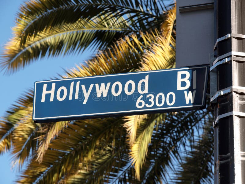 De Palmen van Blvd van Hollywood