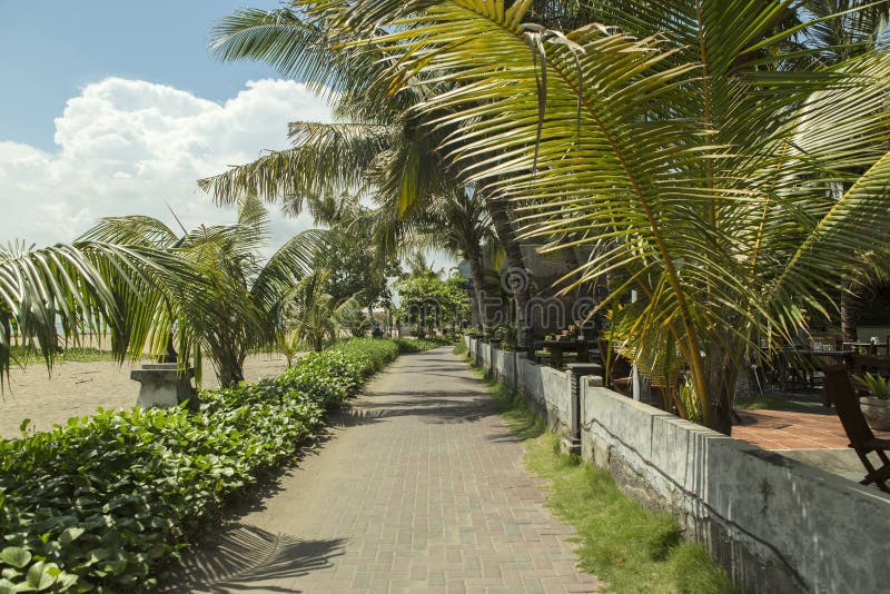 De palmlaag van het Kutastrand, luxetoevlucht met zwembad en sunbeds Bali, Indonesië royalty-vrije stock foto's De palmlaag van het Kutastrand, luxetoevlucht met zwembad en sunbeds Bali, Indonesië royalty-vrije stock foto's