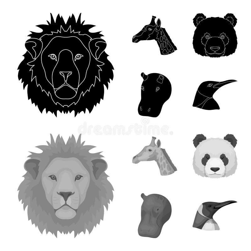 De panda, giraf, nijlpaard, pinguïn, Realistische dieren plaatste inzamelingspictogrammen in zwarte, monochrom stijl vectorsymboo vector illustratie De panda, giraf, nijlpaard, pinguïn, Realistische dieren plaatste inzamelingspictogrammen in zwarte, monochrom stijl vectorsymboo vector illustratie