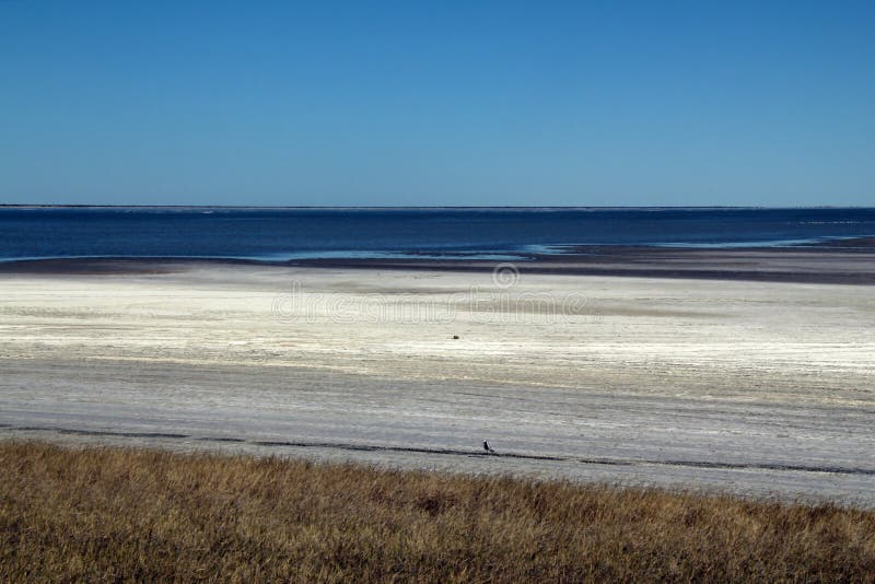 De pannen van Makgadikgadi stock afbeeldingen De pannen van Makgadikgadi stock afbeeldingen