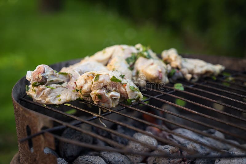 De partij van de grilltuin met ausages en vlees royalty-vrije stock afbeeldingen De partij van de grilltuin met ausages en vlees royalty-vrije stock afbeeldingen