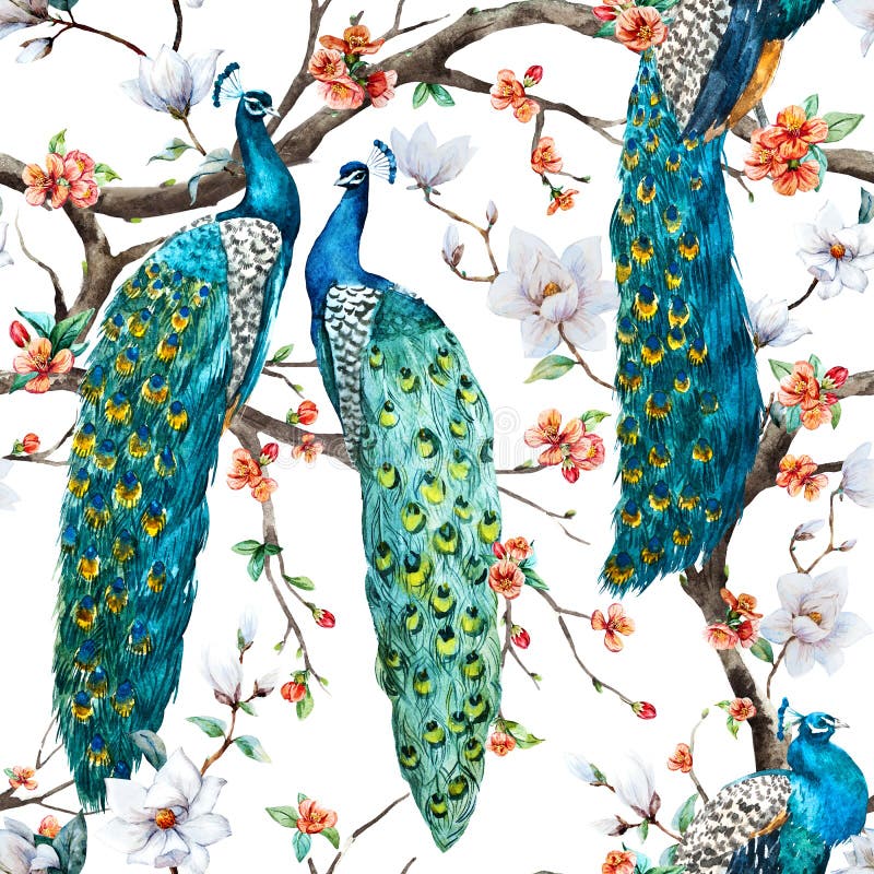 Beautiful raster pattern Watercolor raster peacock pattern. Beautiful raster pattern Watercolor raster peacock pattern