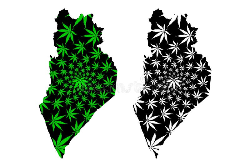 De Perlisstaten en de federale gebieden van Maleisië, Federatie van de kaart van Maleisië zijn ontworpen groen en zwart cannabisb vector illustratie De Perlisstaten en de federale gebieden van Maleisië, Federatie van de kaart van Maleisië zijn ontworpen groen en zwart cannabisb vector illustratie