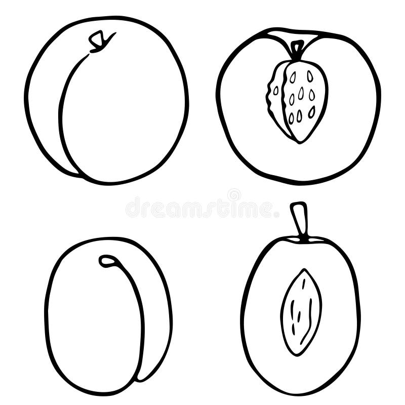 De perzik en de pruim van het overzichtsfruit royalty-vrije illustratie De perzik en de pruim van het overzichtsfruit royalty-vrije illustratie
