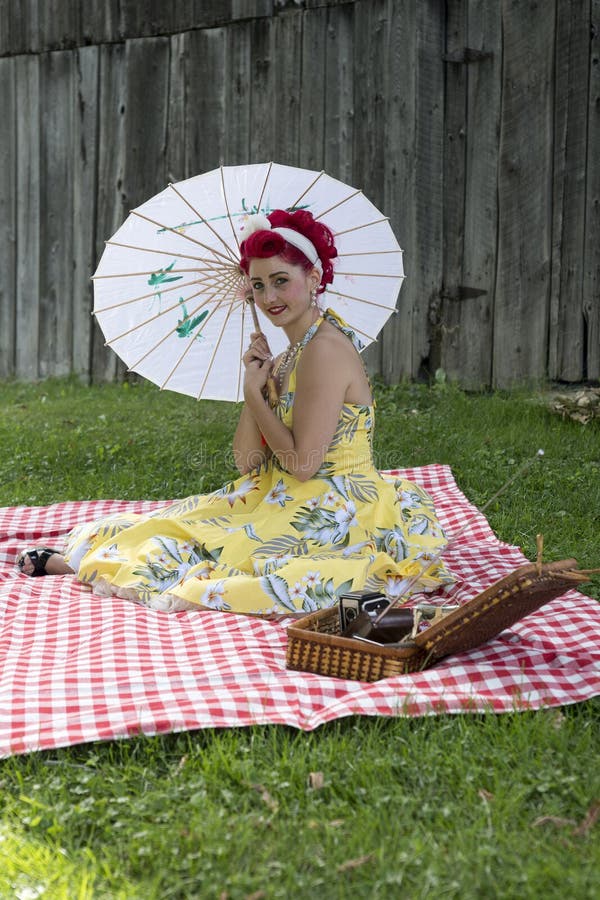 Pin-up picknick royalty-vrije stock afbeelding