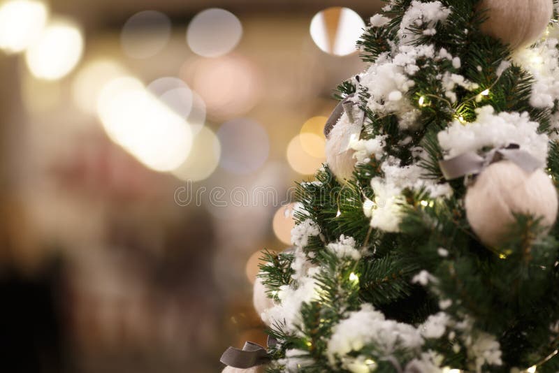 De pijnboomboom van Kerstmis met sneeuw royalty-vrije stock foto's De pijnboomboom van Kerstmis met sneeuw royalty-vrije stock foto's