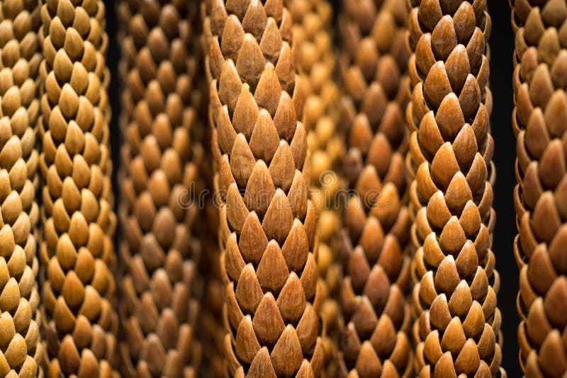 De pijnboomboom verlaat Macrofoto royalty-vrije stock foto De pijnboomboom verlaat Macrofoto royalty-vrije stock foto