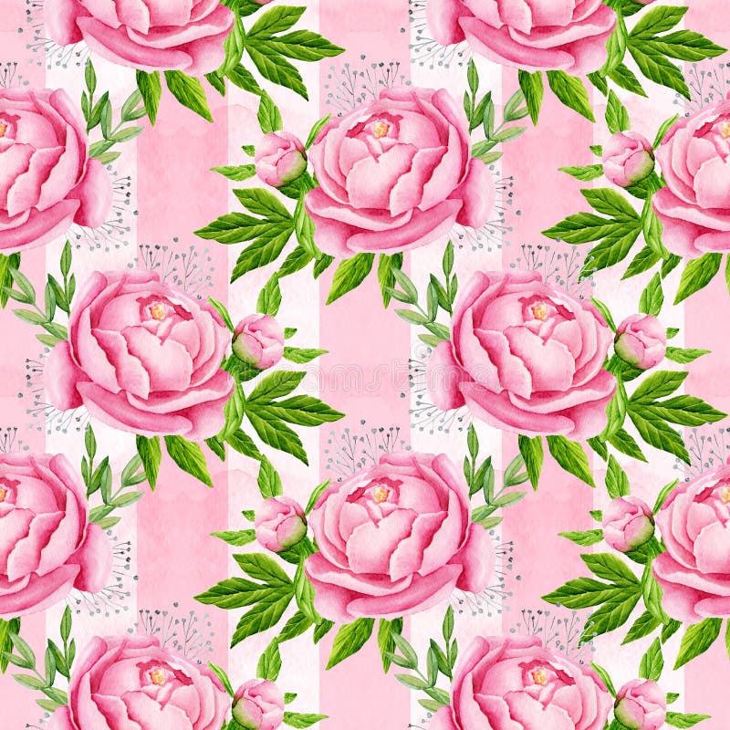 De pioen bloeit naadloze patroonachtergrond Tedere roze bloemen Het ontwerp van het huwelijk De illustratie van de waterverf