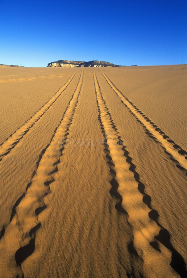 De pistas de vehículo de camino en la reserva de Coral Pink Sand Dunes State en UT meridional foto de archivo libre de regalías De pistas de vehículo de camino en la reserva de Coral Pink Sand Dunes State en UT meridional foto de archivo libre de regalías