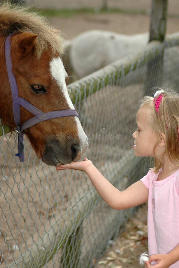 De poney van de kindervoeding royalty-vrije stock afbeelding De poney van de kindervoeding royalty-vrije stock afbeelding