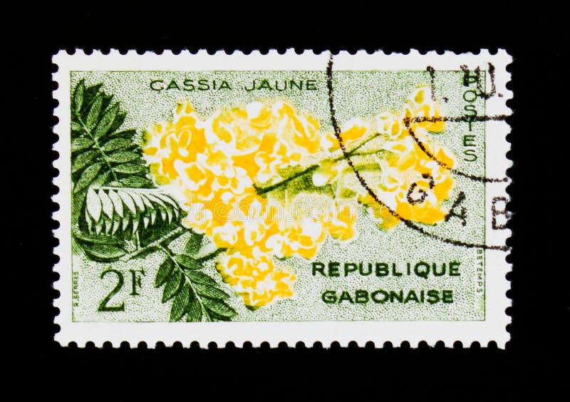 De postzegel van Gabon toont Gouden van de de Kassieboomfistel ` van de Doucheboom deareana `, Flora serie, circa 1961 royalty-vrije stock foto's De postzegel van Gabon toont Gouden van de de Kassieboomfistel ` van de Doucheboom deareana `, Flora serie, circa 1961 royalty-vrije stock foto's