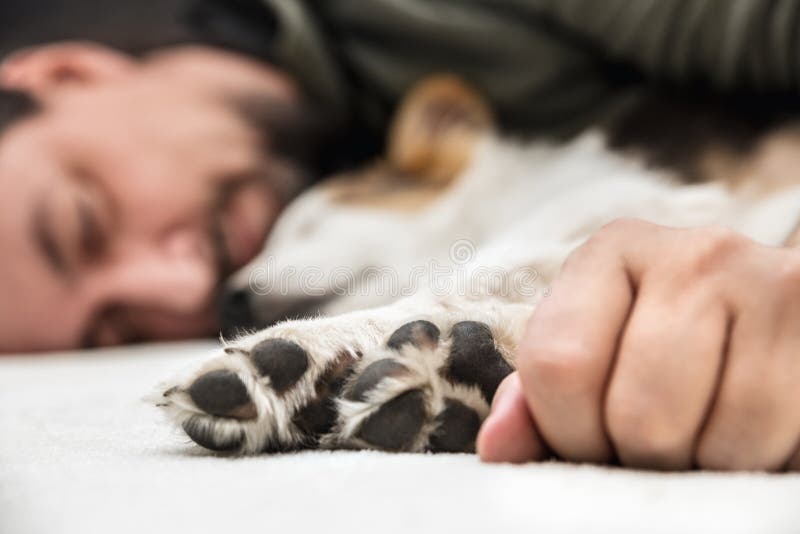 De poten van een puppyhond en male dienen voorzijde, mensen en jong het ontspannen in royalty-vrije stock afbeelding De poten van een puppyhond en male dienen voorzijde, mensen en jong het ontspannen in royalty-vrije stock afbeelding